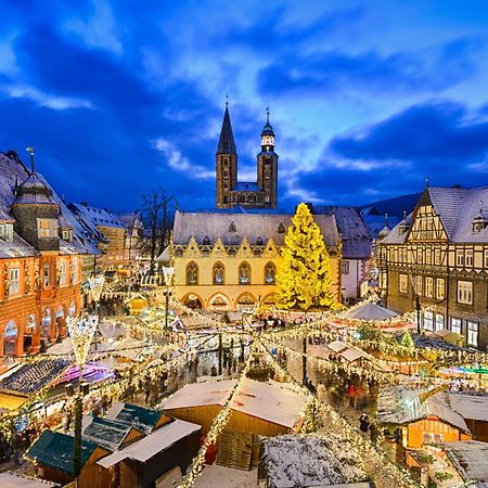 Fewo Seeufer #Grosser Garten#Seenaehe# Von Harztraveler جوسلار المظهر الخارجي الصورة